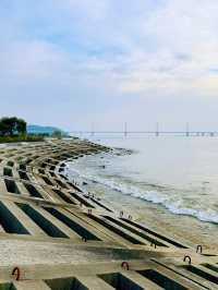 二井灣濕地公園打卡指南·珠海橫琴週末