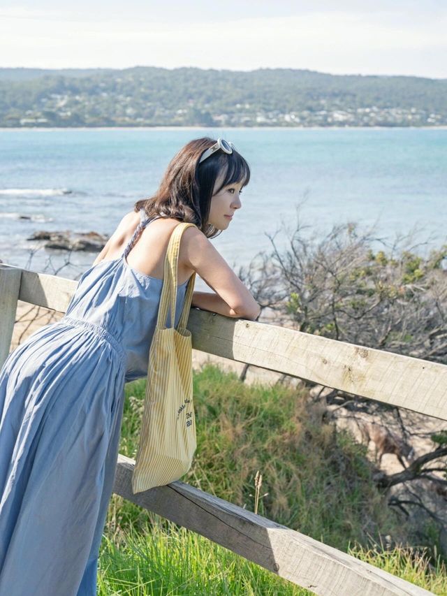 據說是世界上最美沿海公路之一🩵大洋路