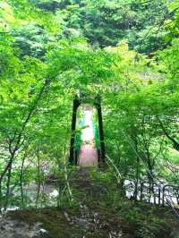 白妙橋