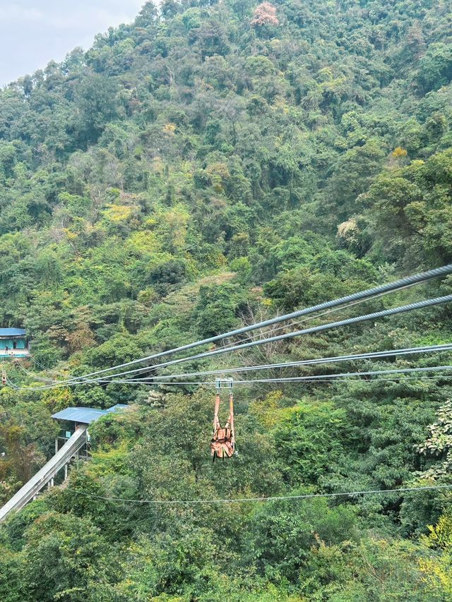 過年來南丹山，接財神咯～