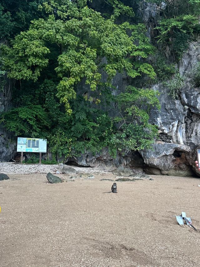 春節泰國6日遊 超詳細攻略來襲
