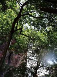 6日暢遊江西南昌-廬山-景德鎮 超詳細行程攻略