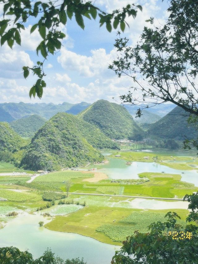 4日雲南昆明-彌勒遊 長者出行超實用攻略