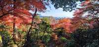 常寂光寺