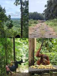 邂逅山打根，探秘南洋遺珠