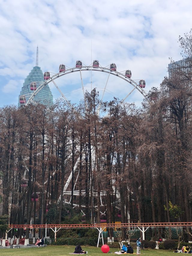 武漢|被一個公園狠狠治癒了~中山公園絕絕子