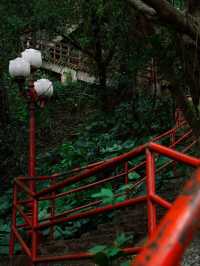 《中山市龍山公園的“綠野仙蹤”之旅》