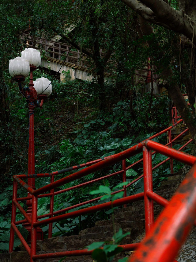 《中山市龍山公園的“綠野仙蹤”之旅》