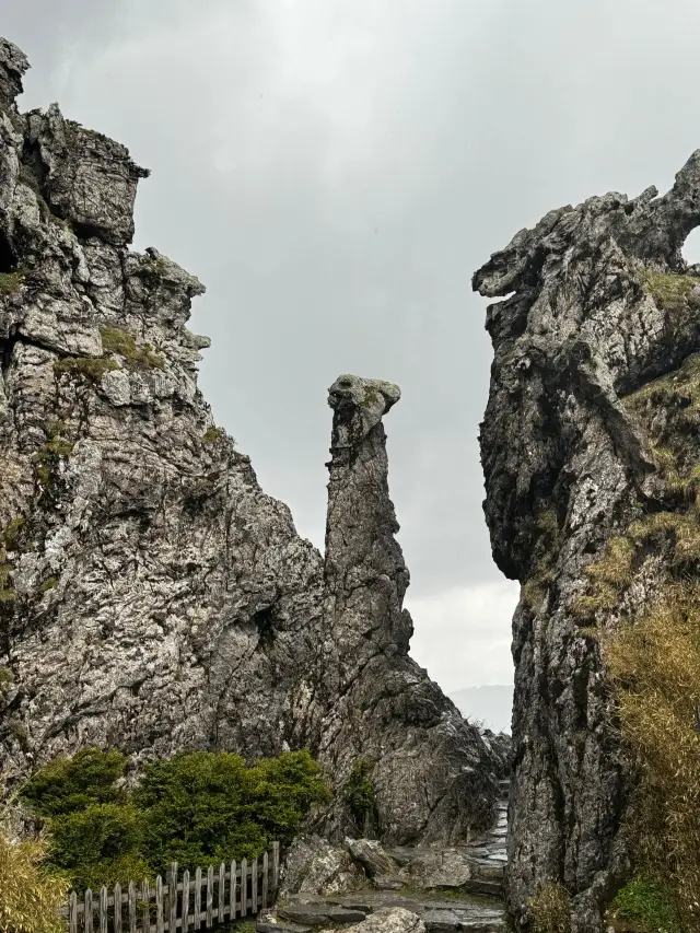 Hubei Wuhan - Shennongjia Panda Base Travel Guide