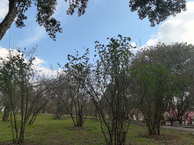 天氣好去植物園walk一下～
