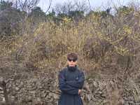 河南青龍峽邂逅綠野仙蹤