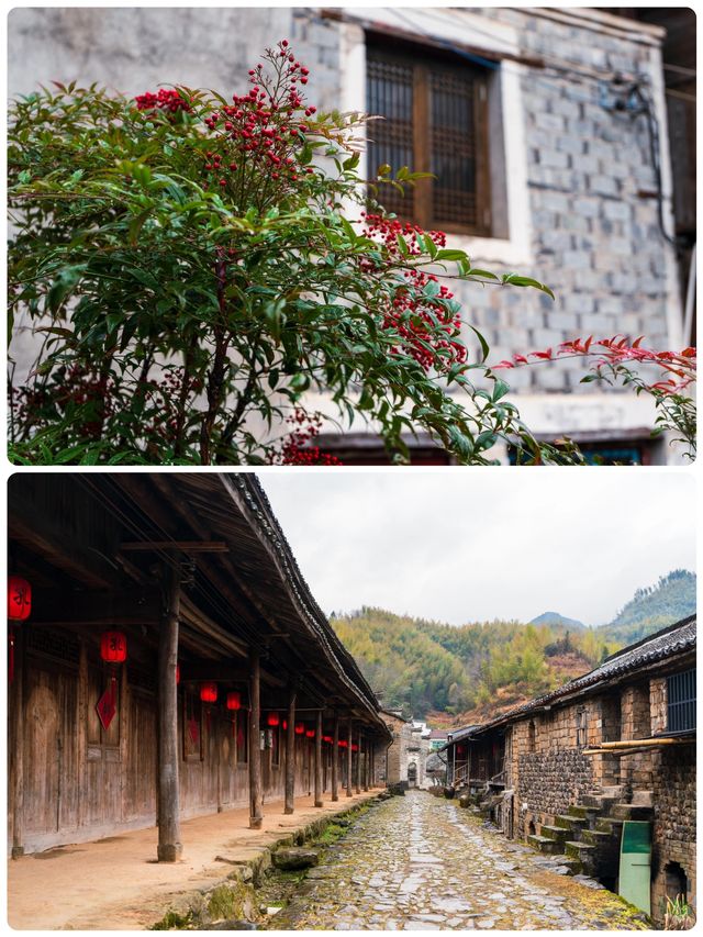 饞哭了！榉溪村必食的 N 種地道美食大揭秘