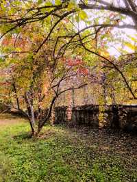 北京西山森林公園遊覽