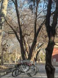 酒泉-西寧-張掖8日遊 朋友圈熱門攻略來襲