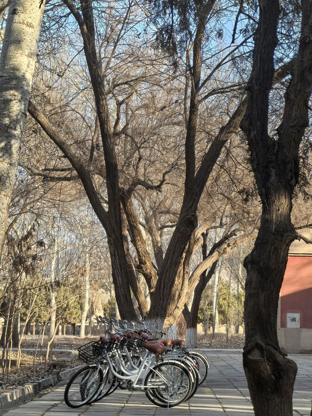 酒泉-西寧-張掖8日遊 朋友圈熱門攻略來襲