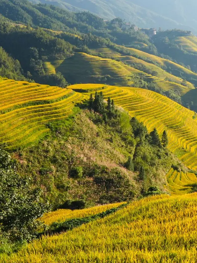 桂林5日遊 超實用攻略 讓你玩得盡興