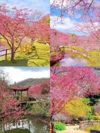 春天賞花必帶老婆去嘅浪漫城市
