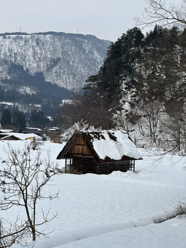 ❄️ Shirakawa-go: A Winter Wonderland Straight Out of a Fairytale ❄️