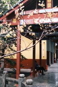 古寺廟推薦
