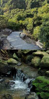 東莞這座山，爬了才知道有多值！