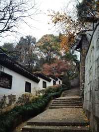 5日探索華東5市-烏鎮 解鎖古鎮古韻之旅