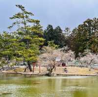 大阪周邊@萬葉植物園