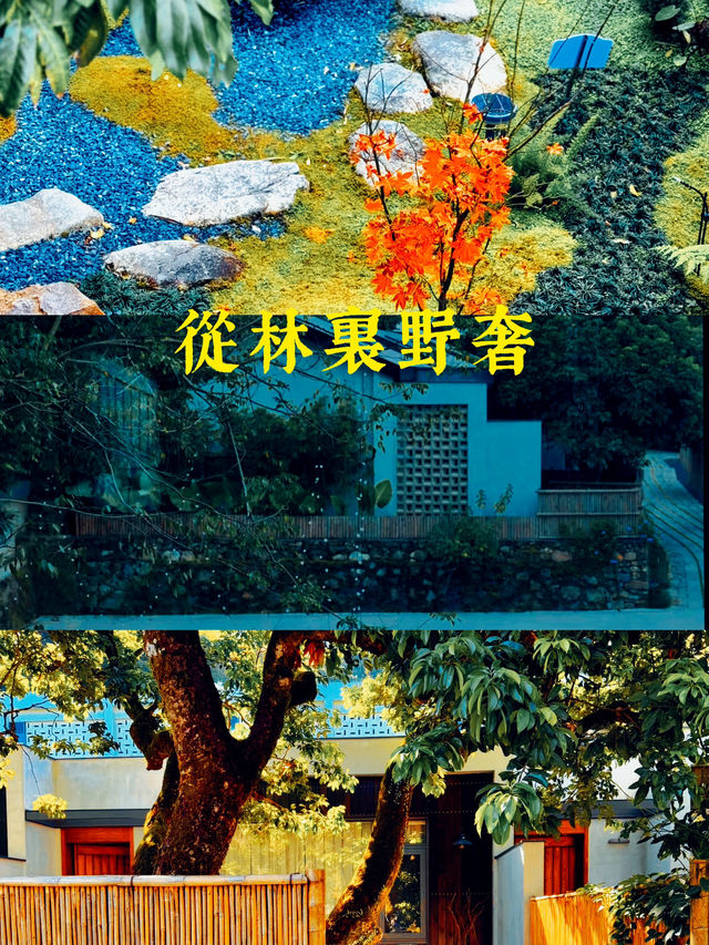 廣州從林裡野奢酒店攻略🌳 逃離城市喧囂，享受自然懷抱！