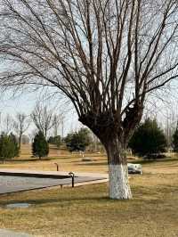 鍾意西安每個有陽光嘅日子