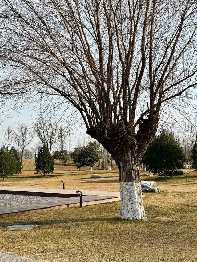 鍾意西安每個有陽光嘅日子 鍾意西安每個有陽光嘅日子