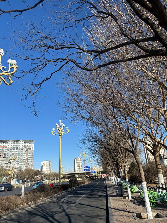 3日暢遊烏蘭布統—塞罕壩 探秘自然山水 拍照打卡兩不誤