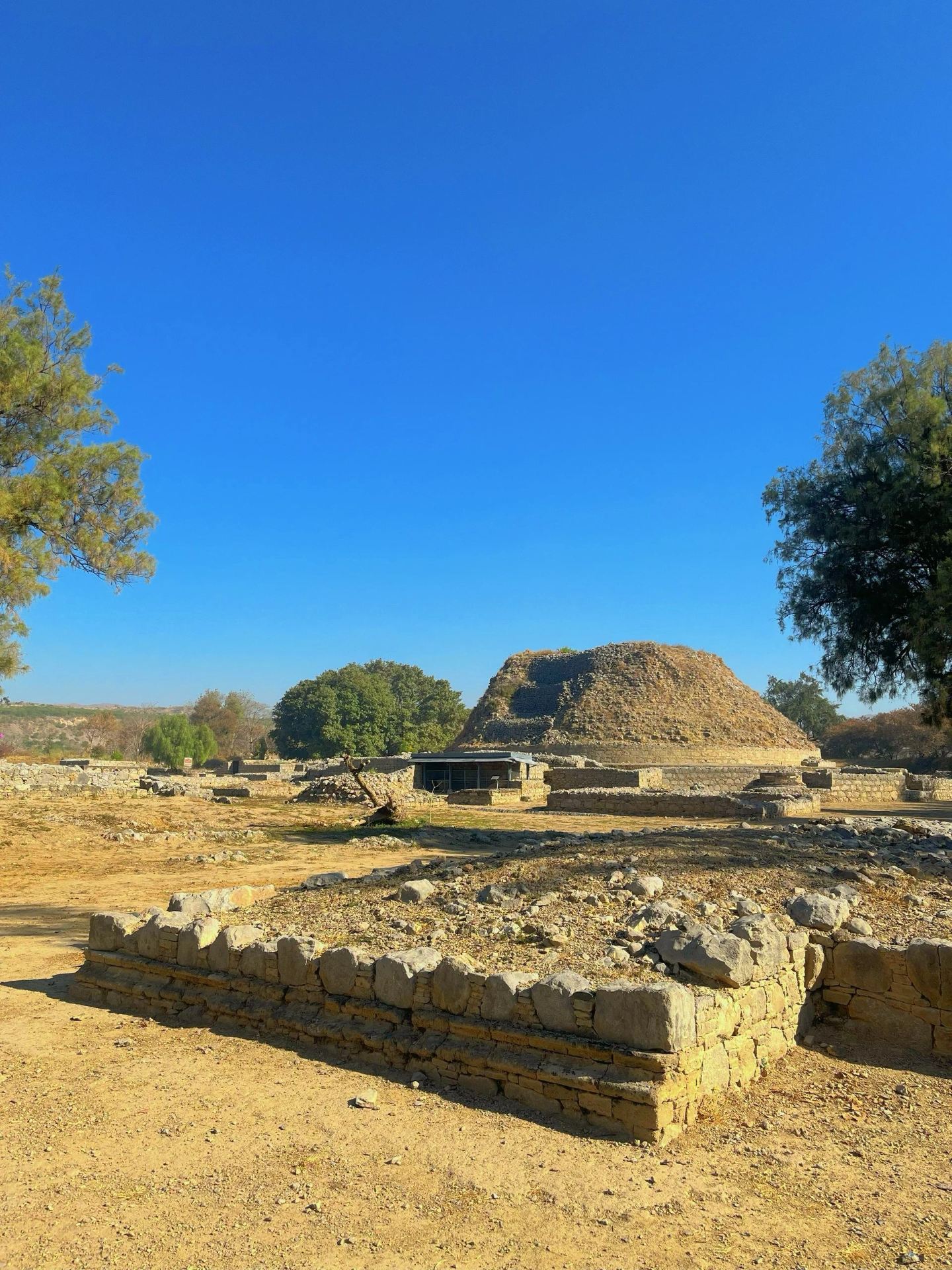 Khám phá Pakistan: Mở khóa những huyền thoại thiên niên kỷ trong bảo tàng