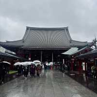 誤入東京小眾仙境|金龍山寶藏攻略🏯