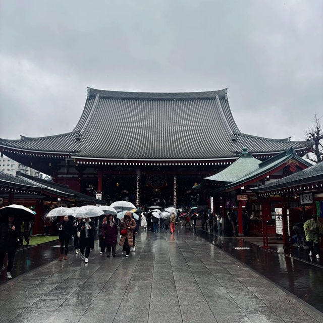 誤入東京小眾仙境|金龍山寶藏攻略🏯