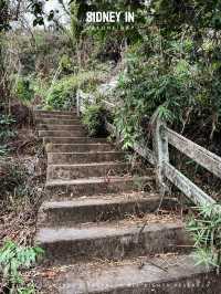 🇻🇳下龍灣顫抖登頂❗️人生封面在此🏞