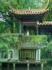 陰雨天的廣州蘭圃真的是人間理想！