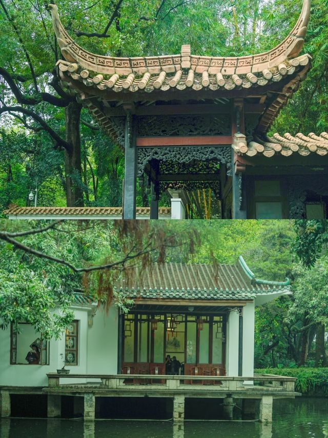 陰雨天的廣州蘭圃真的是人間理想！