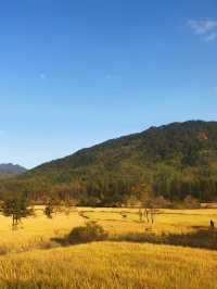 黃山4日遊  定制行程更自由