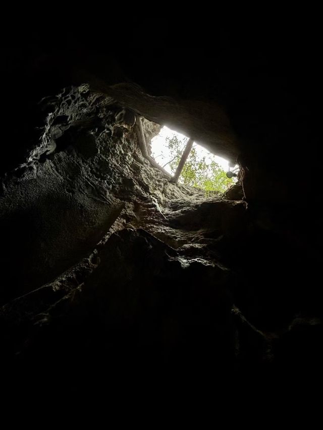 杭城頂流徒步路線！玉皇山鳳凰山一次刷完