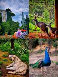 野生動物園邂逅生態精靈