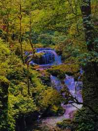 哀牢山林秀，翠谷韻長留，野趣意悠悠