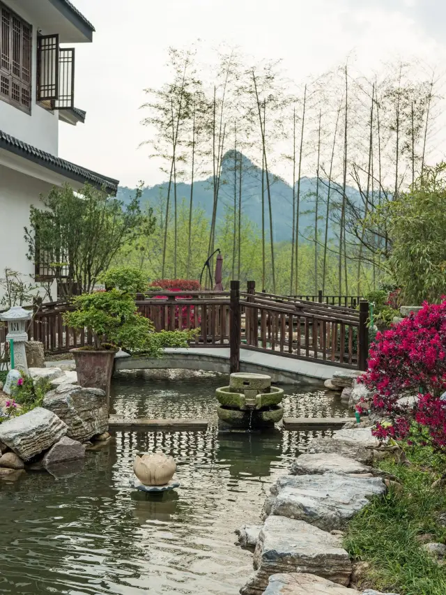 Enjoy a 3-Day Trip to Wuyishan During the Short Holiday—Don't Miss Out!