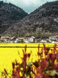 我在漢中上春山，邂逅西北小江南