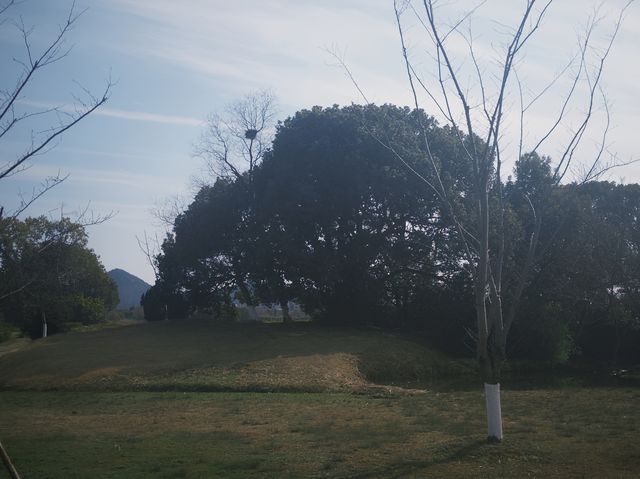 杭州週末好去處｜良渚文化遺址公園限時免費攻略