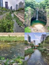 韓國洪川郡：小眾寶藏旅行地