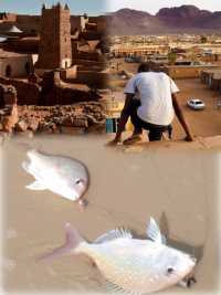毛里塔尼亞努瓦克肖特保姆級旅遊攻略