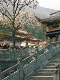 禪源寺｜我願稱之為杭州最美寺院沒有之一！