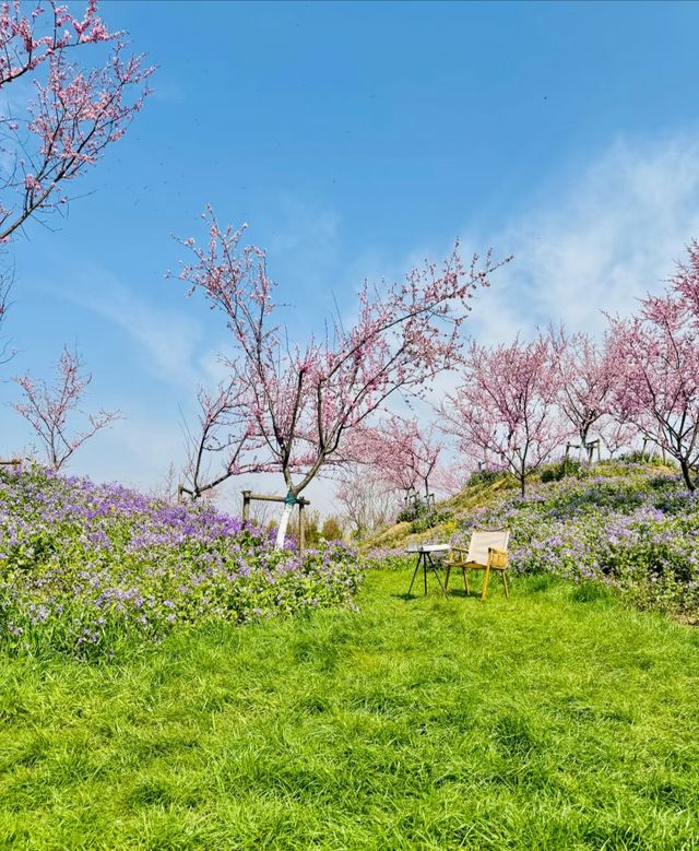 櫻花園