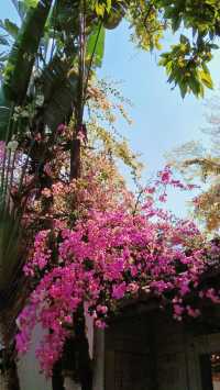 春分賞花才是正經事