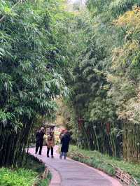 揚州春日 | 一步一景，邂逅繁花與詩意！