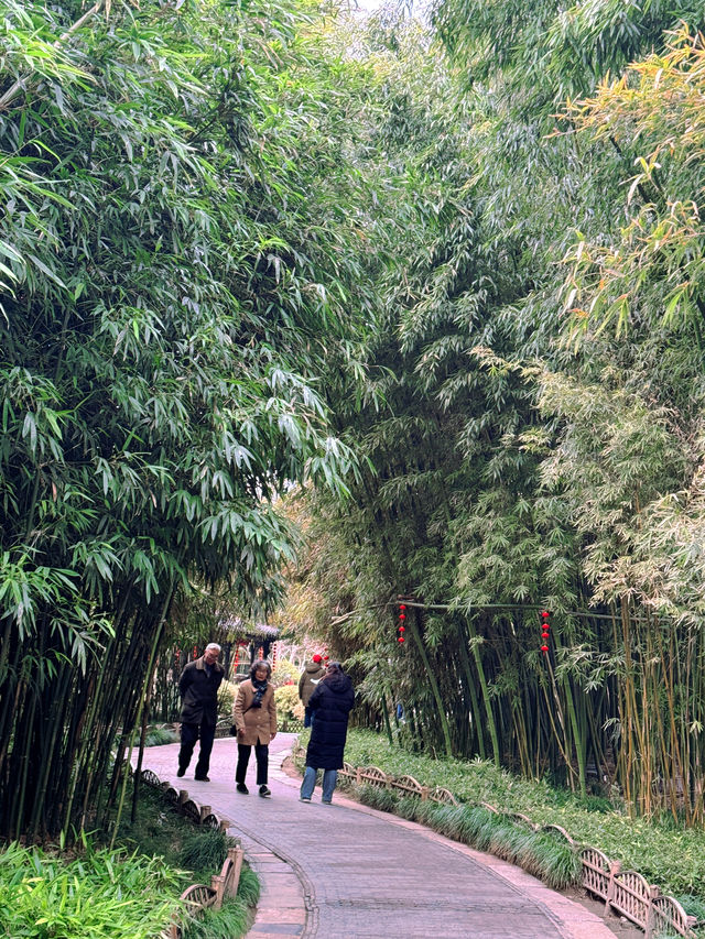 揚州春日 | 一步一景，邂逅繁花與詩意！